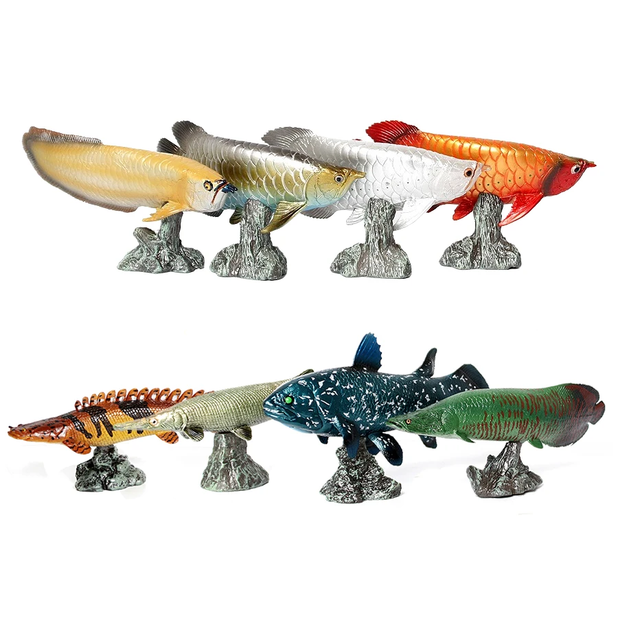 Kids Toys Reviews - Arowana Pirarucu Coelacanth Bichir Model Ikan