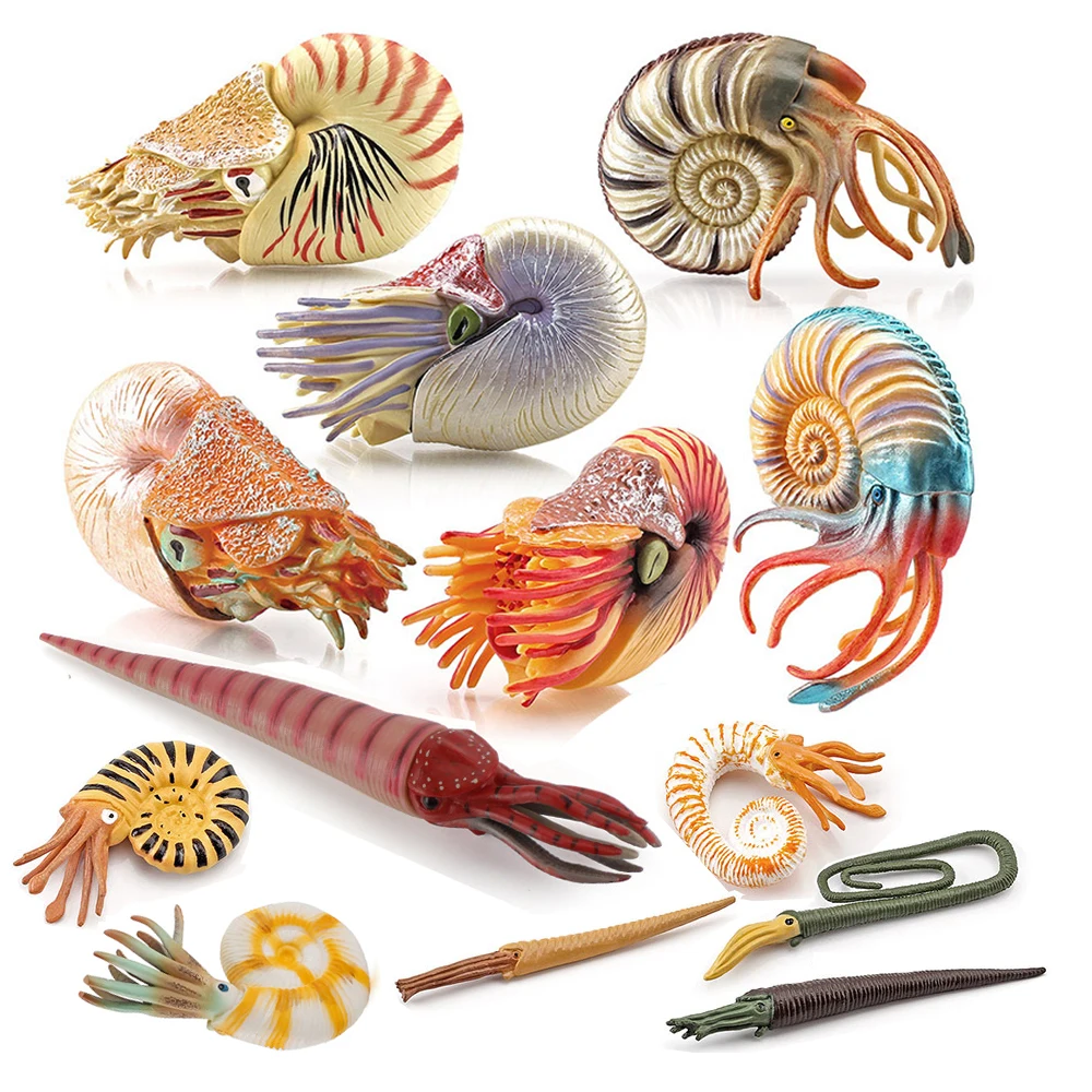 Kids Toys Reviews - Mainan Hewan Laut Figur Nautilus Cameroceras