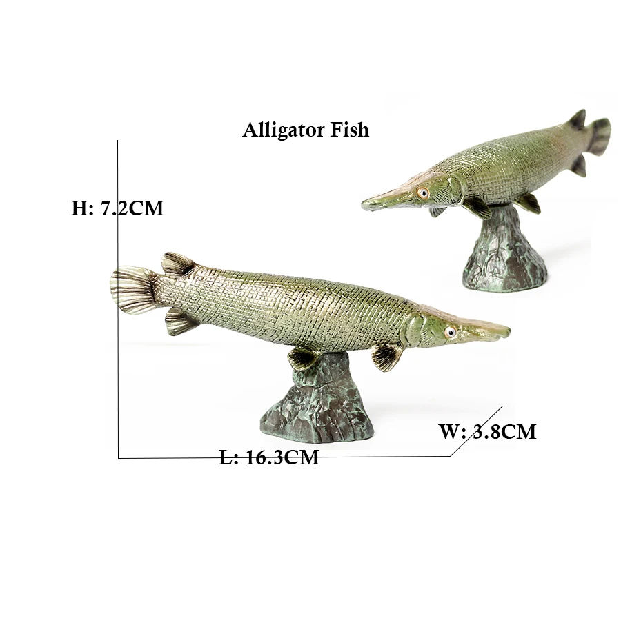 Arowana Pirarucu Coelacanth Bi - Kids Toys Reviews ulasan dan harga