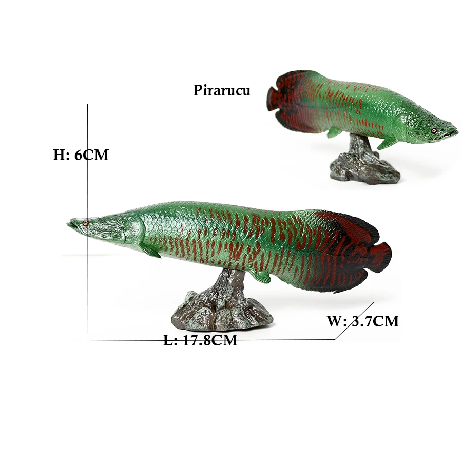 Arowana Pirarucu Coelacanth Bi - Kids Toys Reviews ulasan dan harga