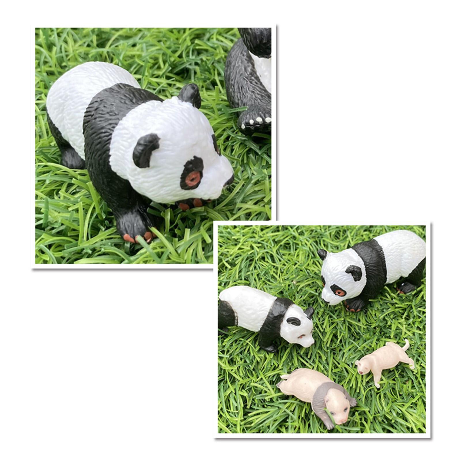 Model Siklus Hidup Hewan Panda - Kids Toys Cycle ulasan dan harga
